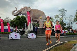 BIB: 
                            <button type="button" onclick="openModal(26528600)" class="btn btn-primary btn-sm float-right btn-popup" data-toggle="modal" data-target=".modal-high-quality">
                        <i class="fas fa-shopping-cart"></i> Add to Cart
                    </button>
                                            <button type="button" onclick="isThisMe(26528600, true)" class="btn btn-success btn-sm float-right btn-popup btn-isme hidden" data-toggle="tooltip" data-placement="bottom" title="นี่คือรูปของคุณใช่ไหม คลิกที่นี่เพื่อเอาเข้าอัลบั้ม">
                        <i class="fas fa-plus"></i> Add to album
                    </button>
                    <button type="button" onclick="isThisMe(26528600, false)" class="btn btn-warning btn-sm float-right btn-popup btn-isnotme hidden">
                        <i class="fas fa-ban"></i> Remove from album
                    </button>